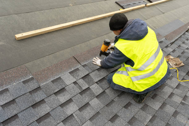 Best Roof Gutter Cleaning  in Harlan, KY