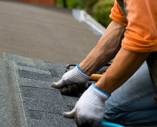 Best Gutter Installation and Roofing  in Harlan, KY